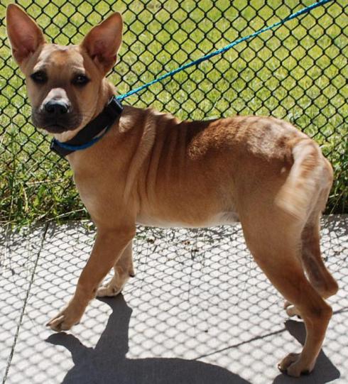 Look who is looking for a home!